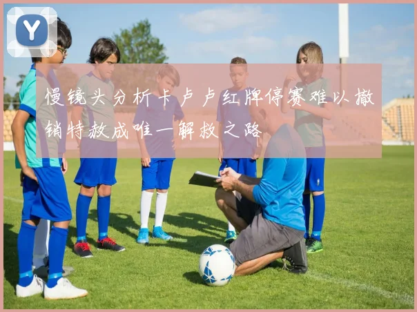 慢镜头分析卡卢卢红牌停赛难以撤销特赦成唯一解救之路